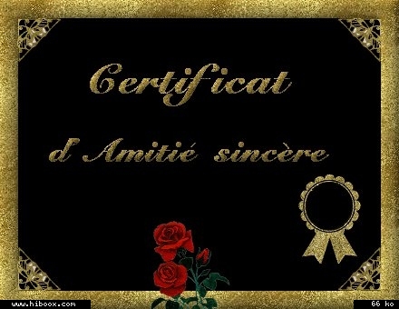 mon certificat