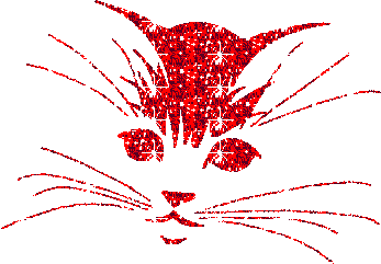 mimi mon chat