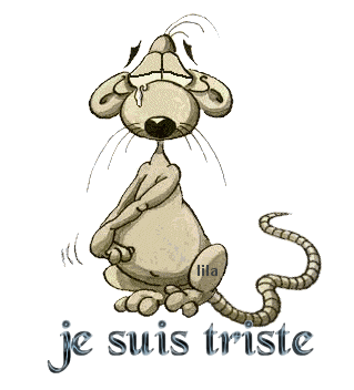 je suis triste pour toi sylvie