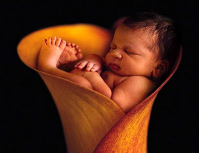 j'aime les bébé