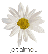 a toi de regarder