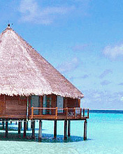 mon paradis