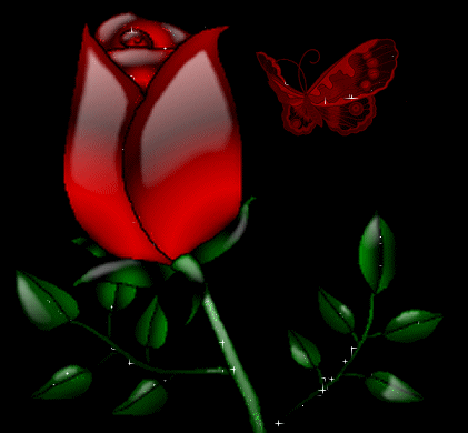 rose